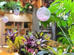 -森味薪火烧•烧鸟居酒屋•日本料理(望京店)