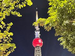 -文华公园(禅城区)