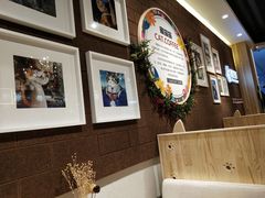 -藏猫猫咖啡主题馆(中央大道店)