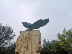-北京鹫峰国家森林公园