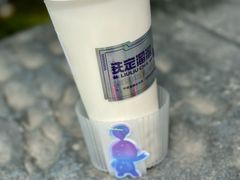 -TD66高山铁皮石斛养生茶饮