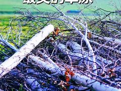 -百里天路