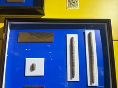 -上海昆虫博物馆