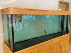 -格林豪泰酒店(北京北苑路北地铁站航空总医院店)