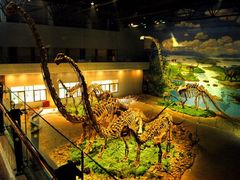 -自贡恐龙博物馆