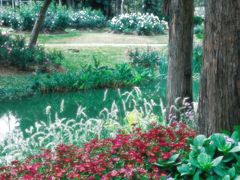 -人民公园(罗湖区)