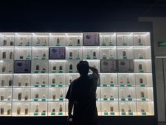 -广东中医药博物馆