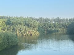 -沙家浜风景区