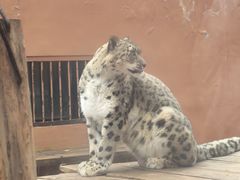 -青藏高原野生动物园