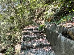 -富春桃源风景区
