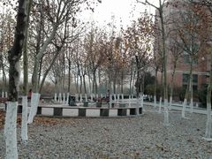 -山东大学(兴隆山校区)