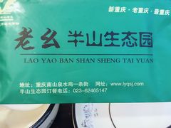 -老幺泉水鸡