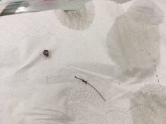 -津品味小吃(大学湾店)