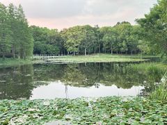 -长广溪湿地公园
