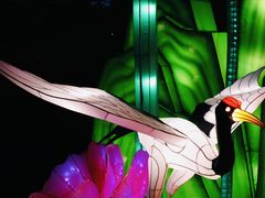 -孔子六艺文化园