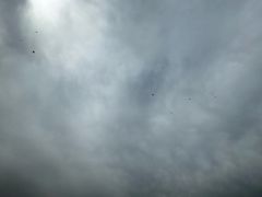 -汉长安城未央宫国家考古遗址公园