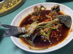 -煲来饱去冷水鱼