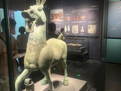 -广西壮族自治区博物馆