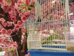 -丽江庭院之爱在路上(西单店)