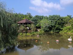 -林丰温泉度假山庄