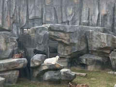 -武汉动物园