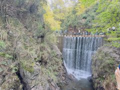 -大奇山国家森林公园