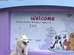 -青岛海尔洲际酒店