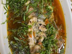 -老字号怡玺·藿香雅鱼(20年雅安店)