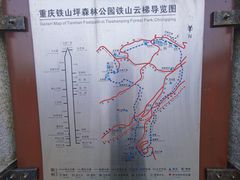 -铁山坪森林公园