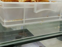 -上海哈尔滨食品厂(淮海中路店)