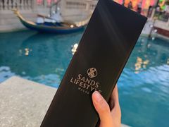 -澳门威尼斯人综合度假区