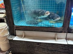 -阿娘家·原生态农家菜(国顺东路店)