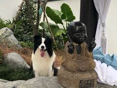 -成都院坝精品私汤民宿酒店