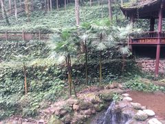 -青城山