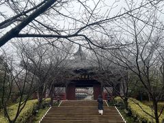 -牛首山文化旅游区