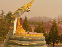 -洛阳白马寺