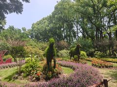 -上海醉白池公园