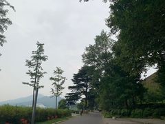 -Beans Solo豆号咖啡(百家湖花园店)