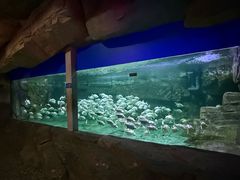 -蓬莱欧乐堡海洋极地世界