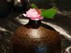 -王家渡火锅(金宝汇店)