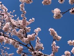 -吉林大学(南岭校区)