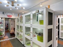 -青奢宠物·青奢猫舍