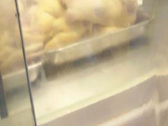 -九斤黄三黄鸡专卖店