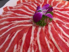 -古乐牛香•鲜牛肉牛杂火锅(系马桩总店)