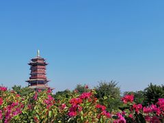 -厦门园林博览苑