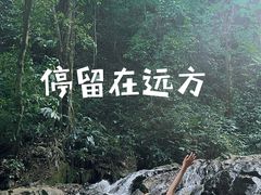 -莫里热带雨林景区