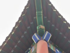 -人民公园(黄骅市)