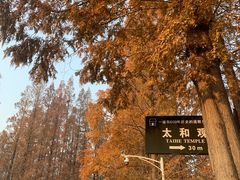 -崂山九水游览区