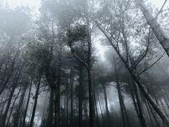 -綦江古剑山