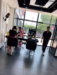 -风向标WIND VANE SALON